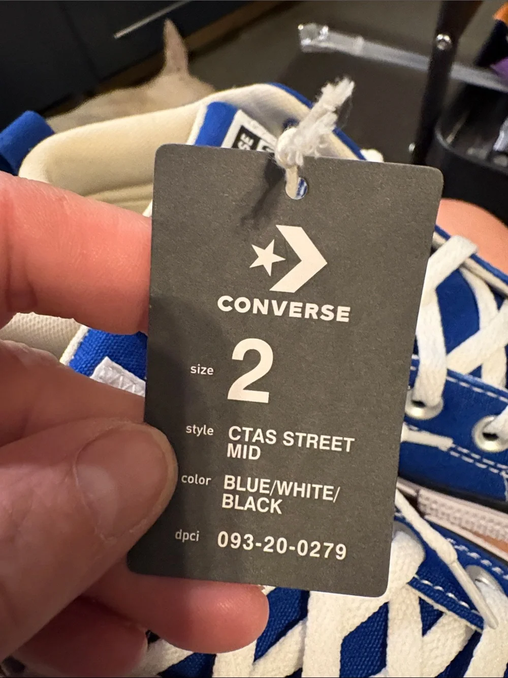 Converse Kids Royal Blue Low Top Sneakers